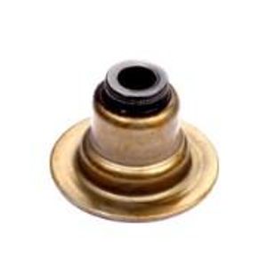 Retentor Valvula Motor Fiesta 8V 1.0 1.6 99 Zetec Rocan