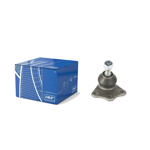 Pivo Fiesta Amazon 2002 A 2014