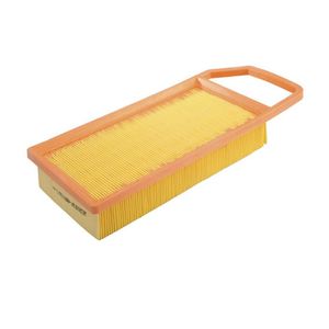 Filtro Ar Motor Peugeot 407 2.0 16V 2006