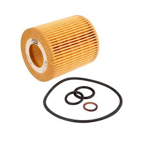 Filtro Oleo Motor Bmw 118I 2.0 16V 2009