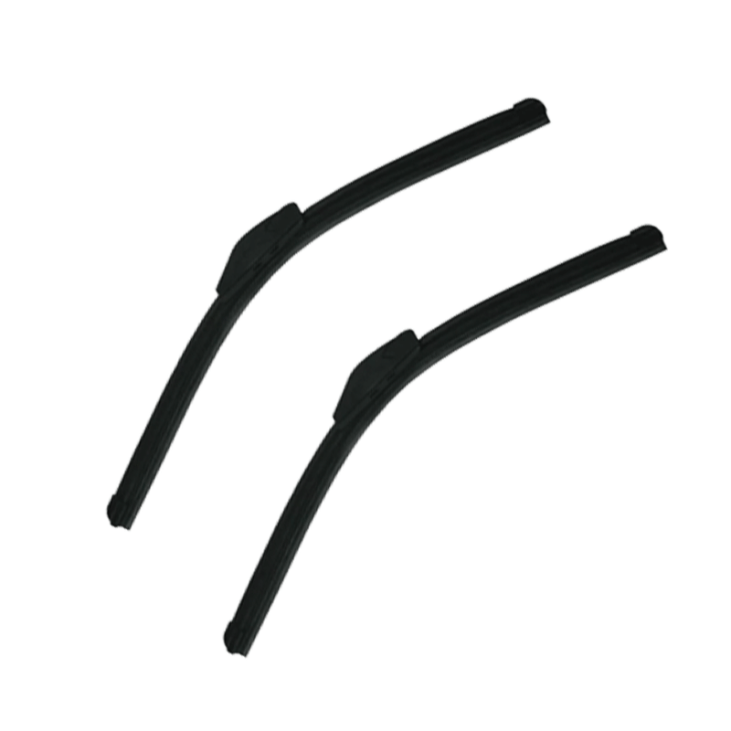 20-POL-1_10194937.png