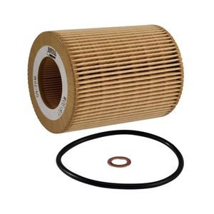 Filtro Oleo Motor Land Rover Freelander 3.2 24V 2010
