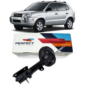 Amortecedor Traseiro Hyundai Tucson 2005 Direito